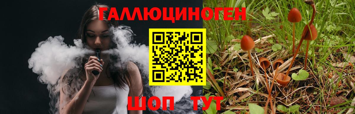 Псилоцибиновые грибы Psilocybe Лангепас