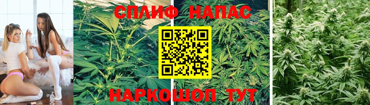 Конопля конопля  Канабис индика  Конопля семена  Вход с VPN  Лангепас  Бошки Шишки White Widow 